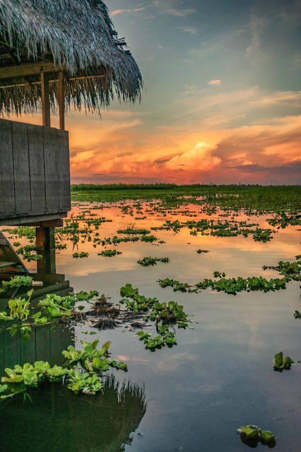 Libertad Jungle Lodge Yucuruche Luaran gambar