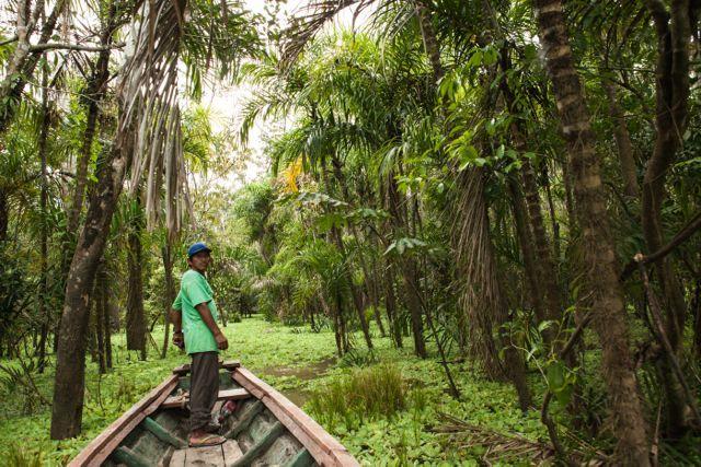 Libertad Jungle Lodge Yucuruche Luaran gambar
